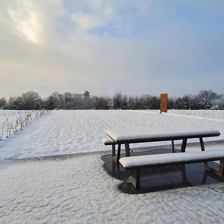 La Maison D'ines Nassogne
