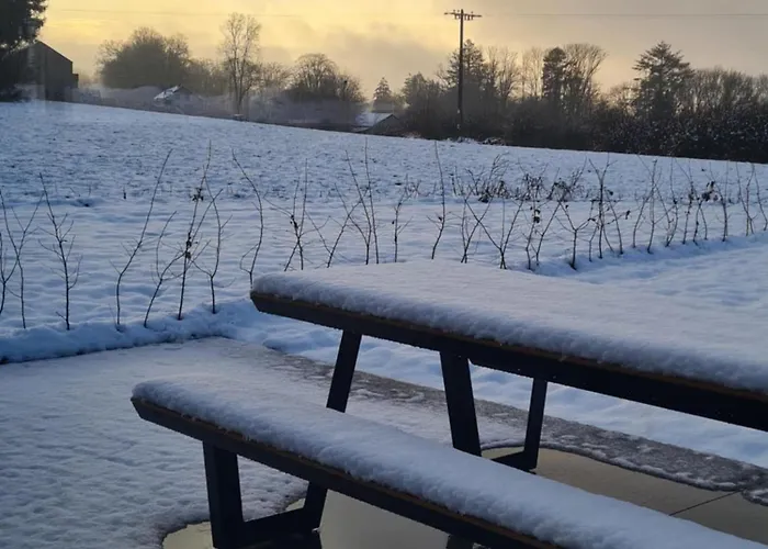 La Maison D'ines * Nassogne